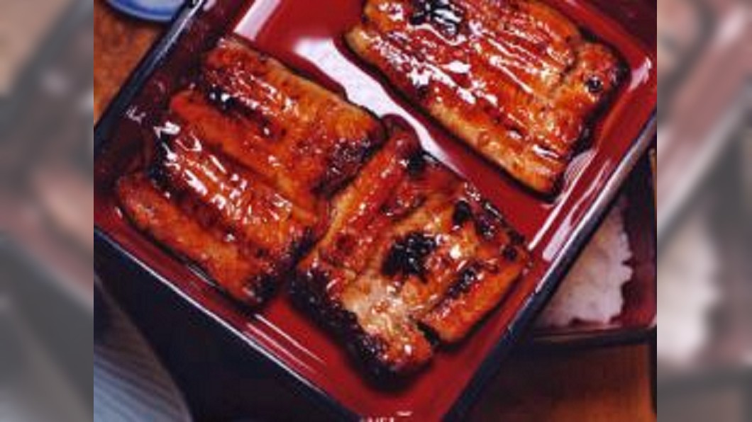 鰻魚荒有解 鹿兒島人工孵化養殖拯救鰻魚危機