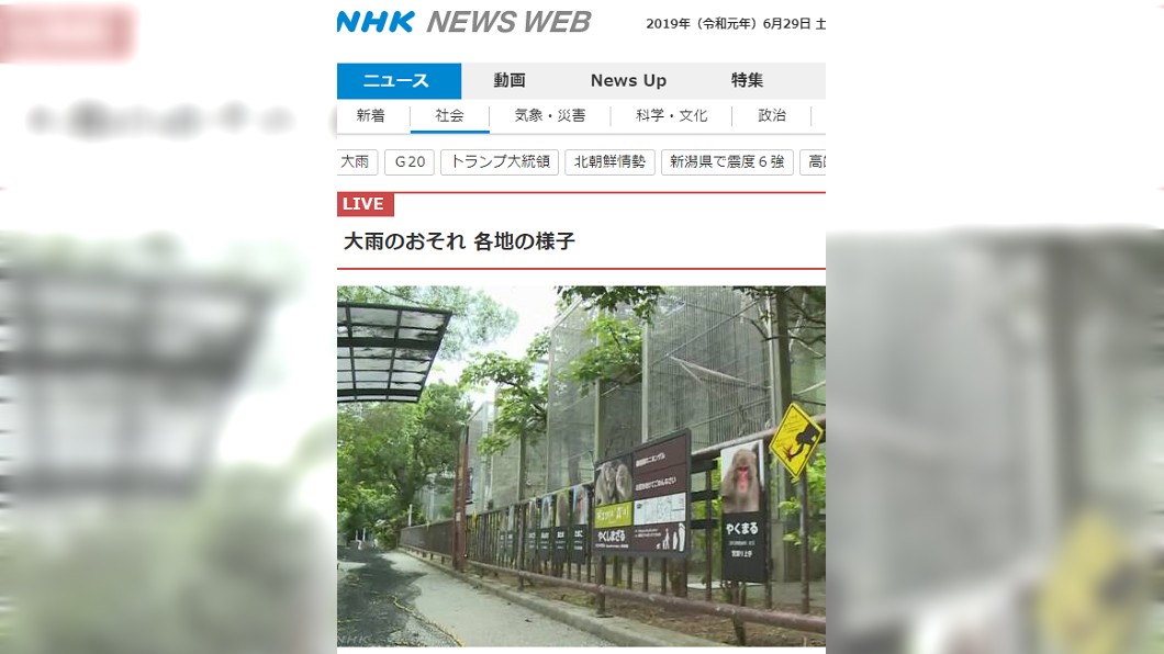 猴子大逃脫! 動物園14隻猴自己拿鑰匙開門翹家