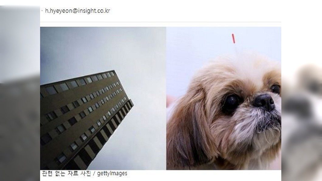 日前南韓一名人婦得知2歲愛女遭鄰居養的西施犬咬傷,他氣得把狗從12樓丟下。(圖/翻攝自南韓網站)