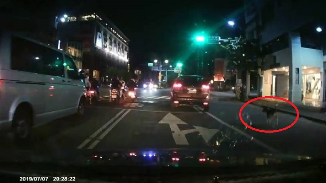 狗狗緊跟車子,但最終還是沒有追上,只能看著車子無情的揚長而去。圖/翻攝宜蘭知識+臉書