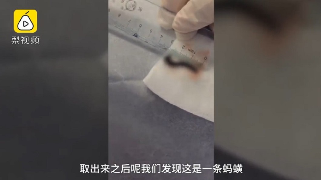 圖/翻攝自梨視頻
