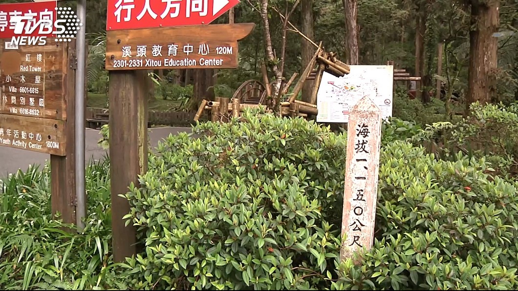 鹿谷公所擬徵溪頭「觀光稅」　南投縣府樂觀其成