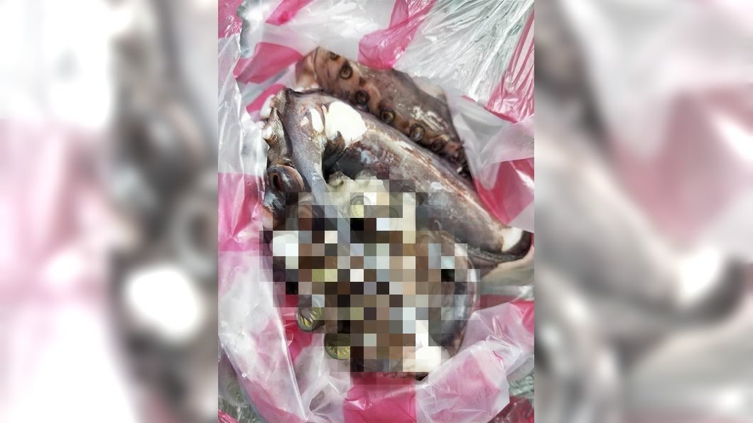 太驚悚！章魚腳吸盤藏「駭人利牙」　網一看全嚇壞