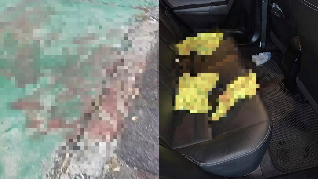 惡男騎車拖狗害吐血慘死 影片曝光網全氣炸