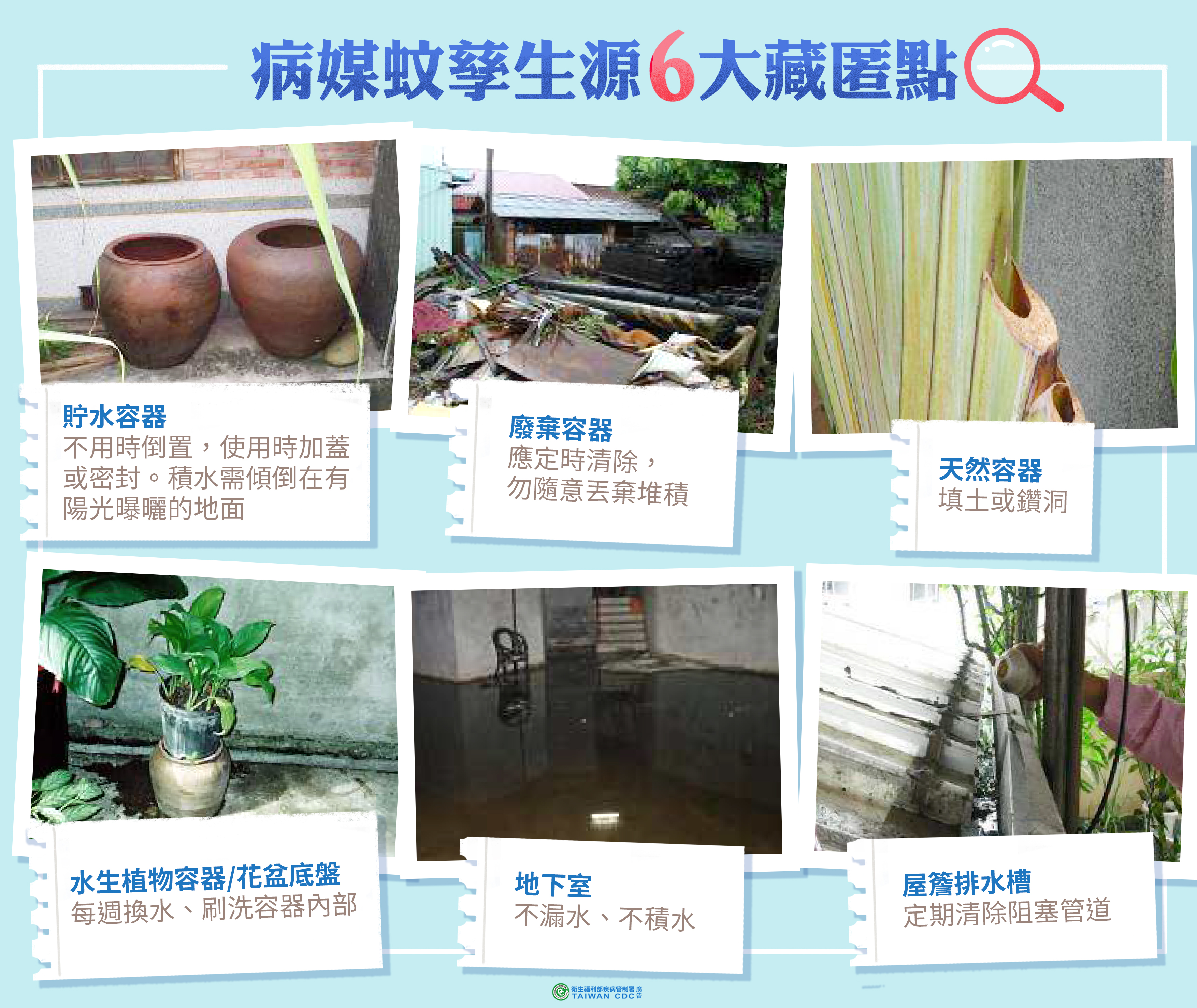 圖／截自疾管署網站