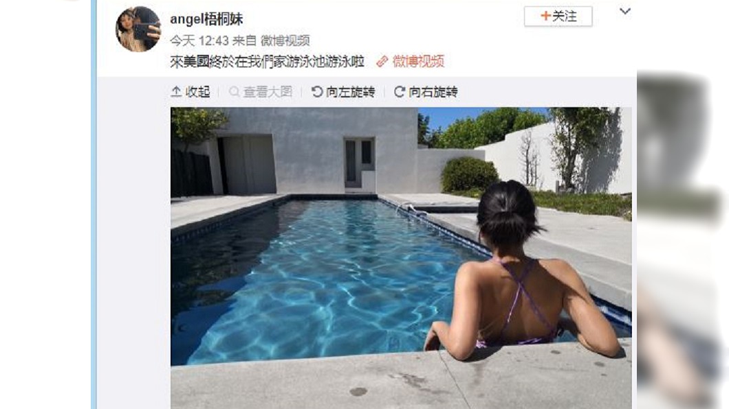 圖／翻攝自梧桐妹微博