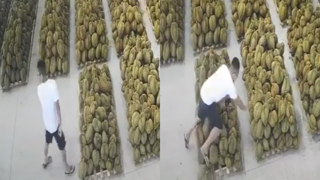 走路不看路!男子慘摔榴槤堆面露痛苦 網:太痛的領悟