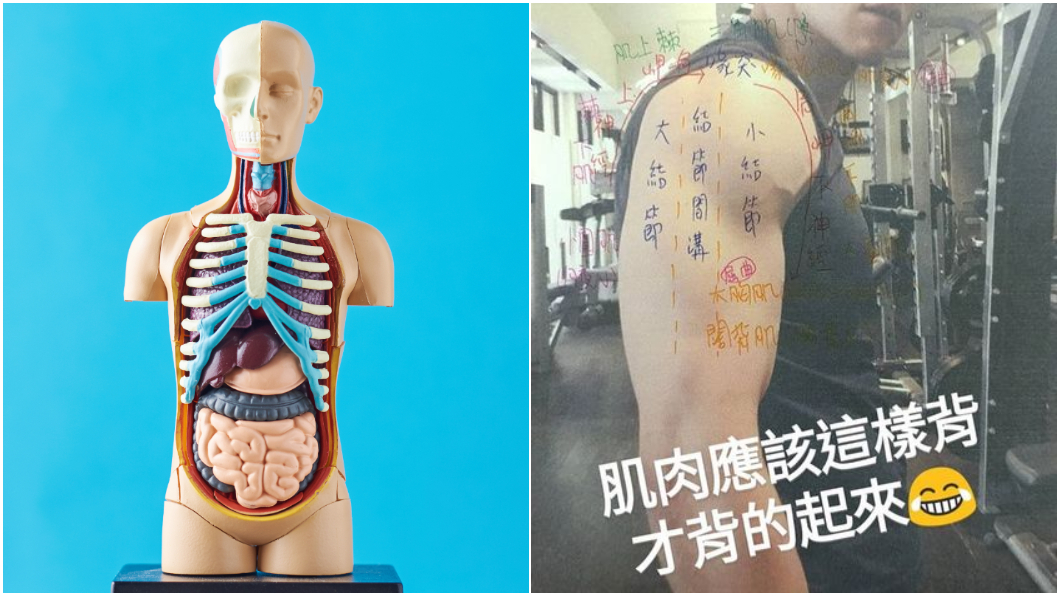 生理解剖怎麼背?學姊傳授「猛男筆記」 網讚爆:秒懂