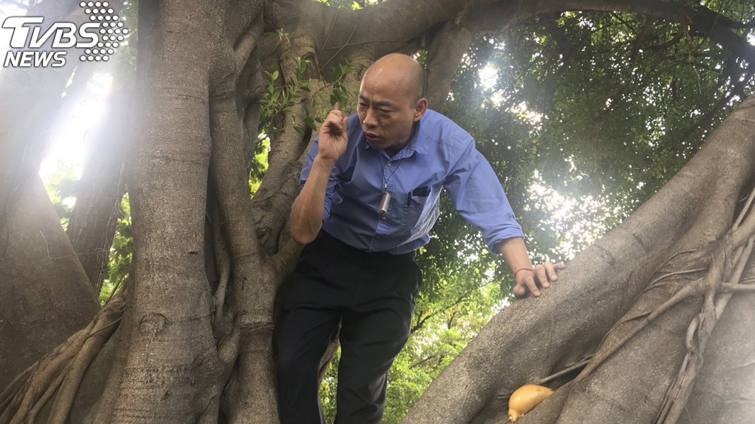 「爛瑜衝樹」新成語釋義!林濁水讚韓國瑜:百年一見奇才