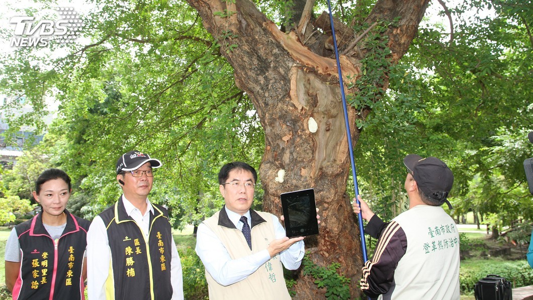 查樹洞是否積水不爬樹 黃偉哲:我選擇相信專業