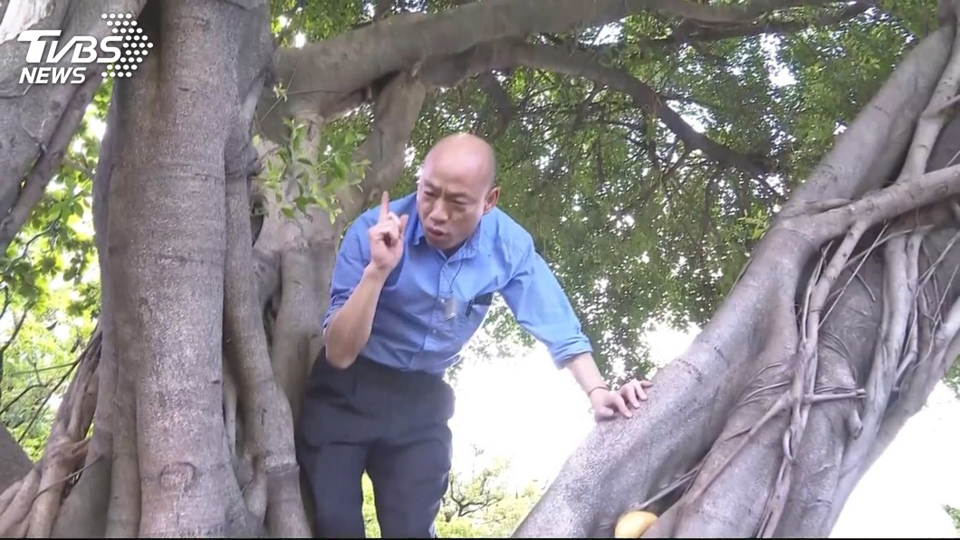 爬樹挨批作秀 韓國瑜:代表我很重視防疫