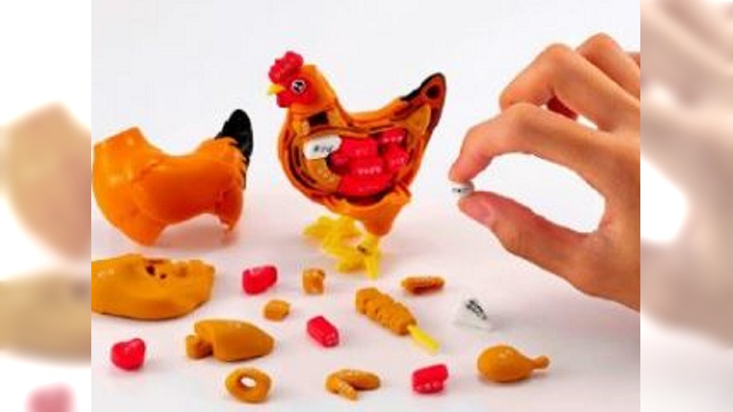 拆解整隻牛！　日本立體動物拼圖新奇有趣