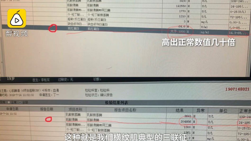 圖/翻攝自梨視頻