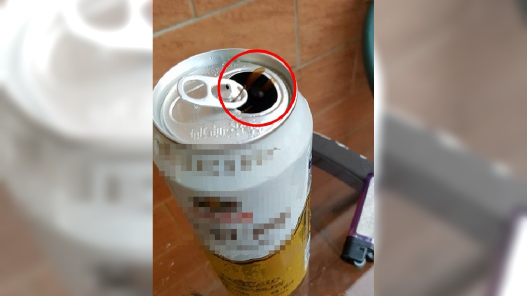 啤酒才剛開！黑影「秒俯衝進洞」　網笑歪：變藥酒了