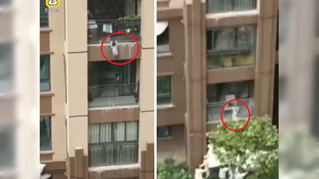 圖/翻攝自梨視頻
