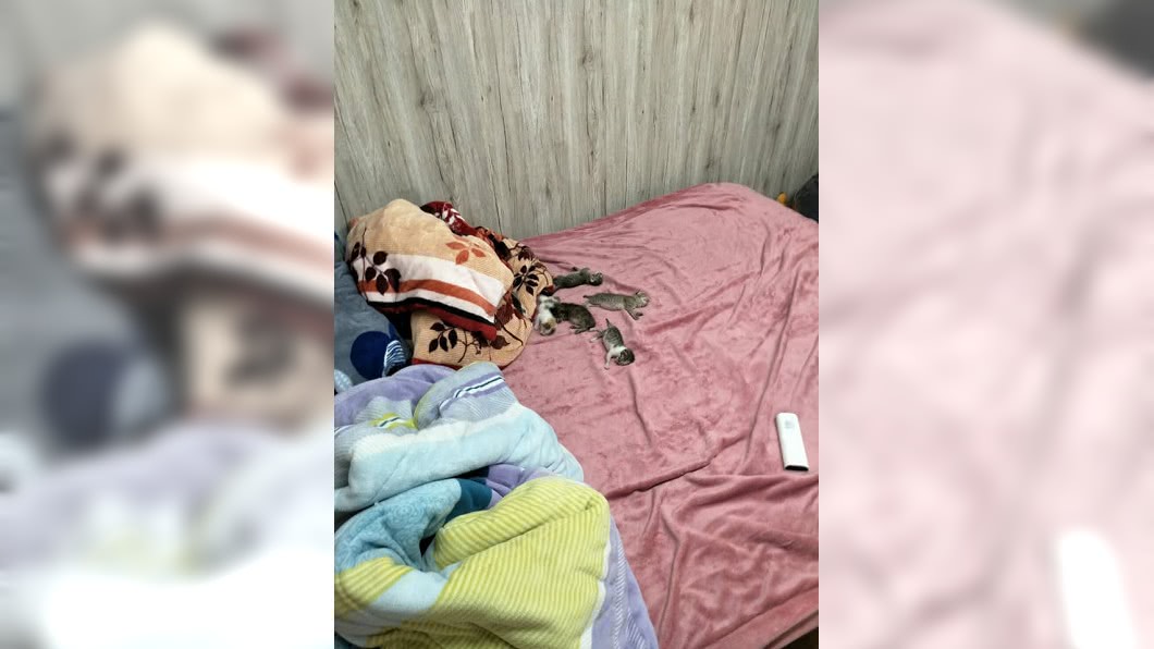 外出忘關門回家變阿公！　網笑：恭喜子孫滿堂