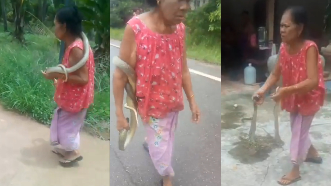 妮蛇醫回家後就把毒蛇丟在地上。圖／翻攝自วรวุฒิ เชิงไกรยัง臉書