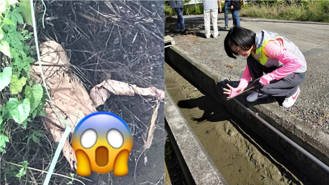 鬼月驚魂!墓園水溝倒臥「金髮女」 目睹民眾嚇破膽