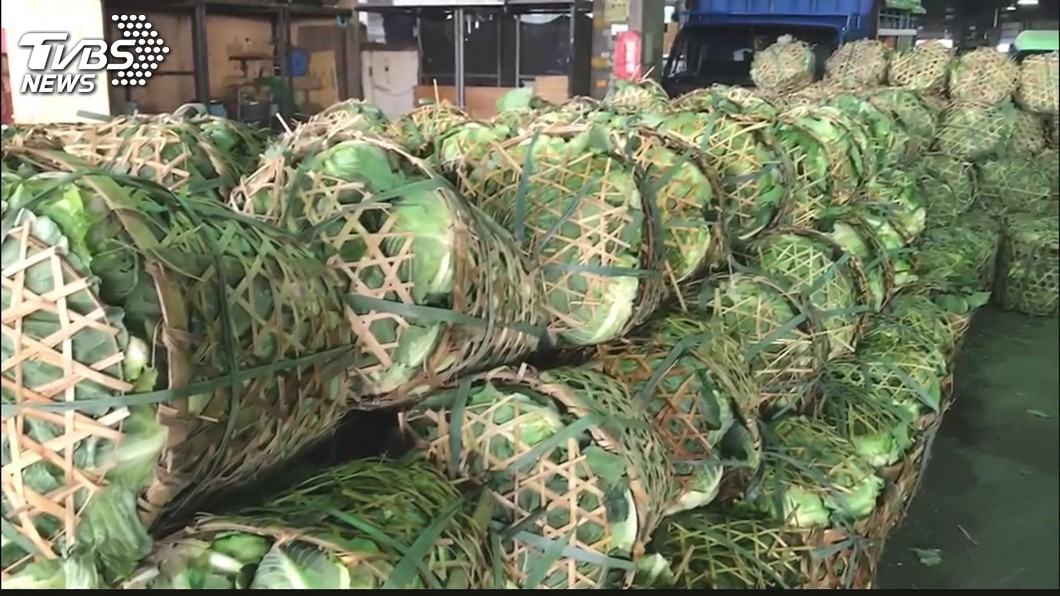 颱風利奇馬來襲 蔬菜產區提早採收供應充足