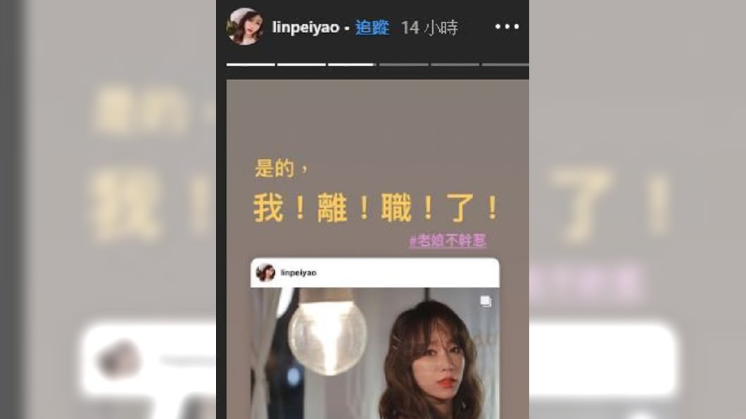 圖/翻攝自林佩瑤IG
