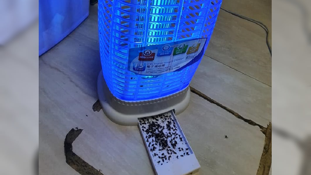 他買捕蚊燈卻捕到牠 網友笑:一燈兩用!