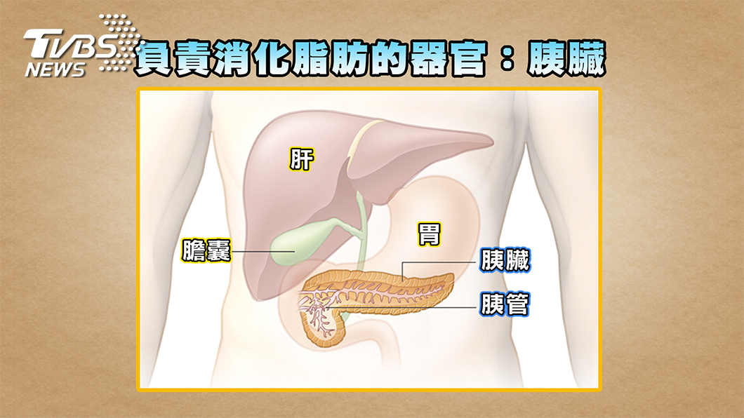 高血脂讓硬漢「館長」都倒下 小心你的身體正在發炎
