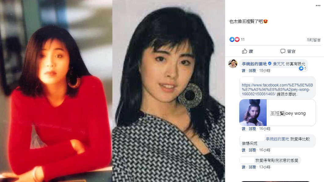 網友認為很像王祖賢。圖／翻攝自臉書李婉鈺的園地