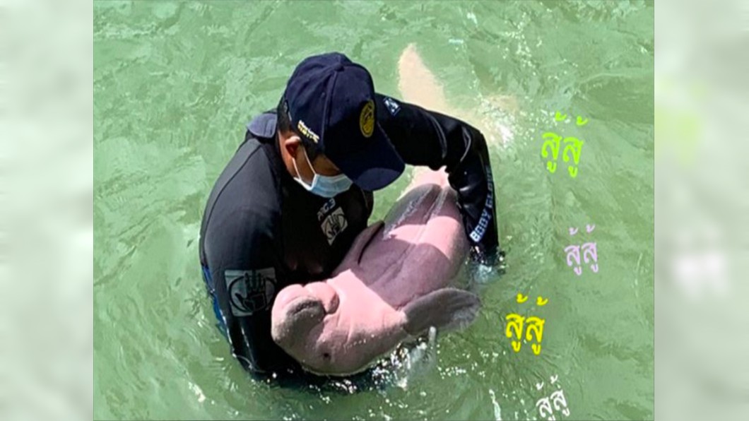 網紅「小美人魚」慘死 解剖驚見胃部全是塑膠