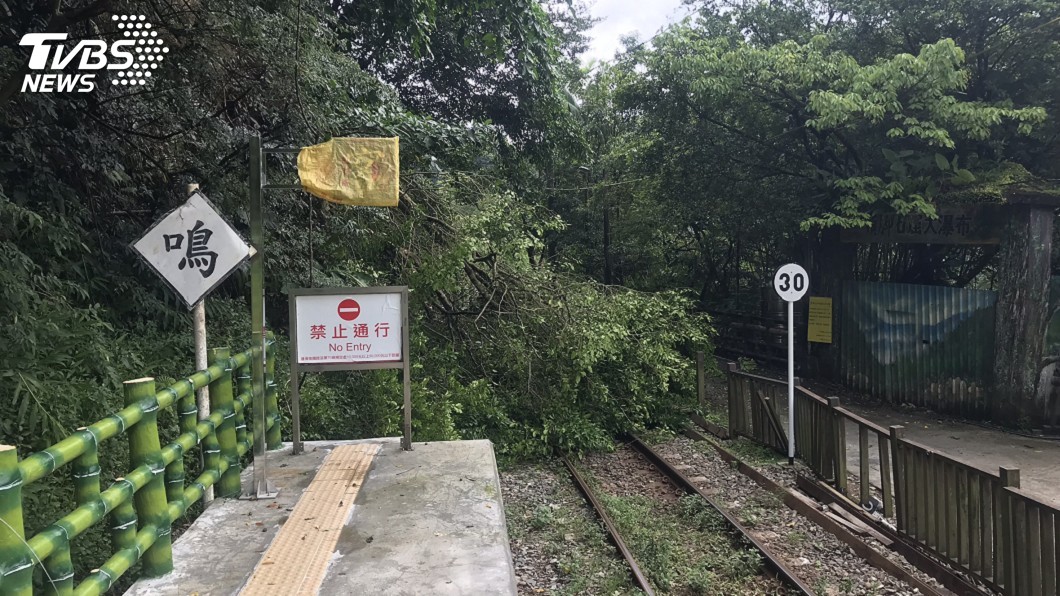 路樹傾倒 台鐵平溪線部分路段無法通行