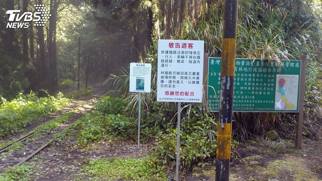 阿里山林鐵眠月線封閉多年 發生3起失足事故