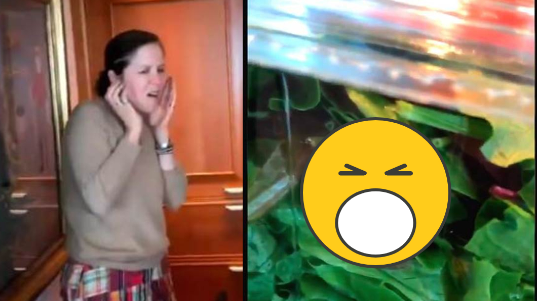 沙拉附生猛活物?打開驚見「牠」女嚇歪 網卻讚有機