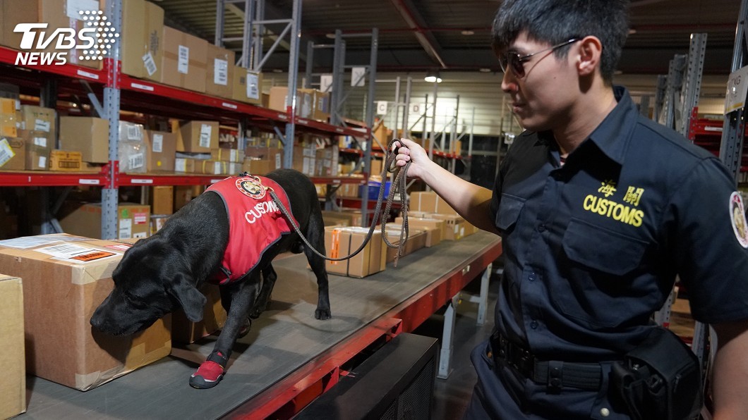 走私集團剋星！　前8月緝毒犬查獲逾千公斤毒品