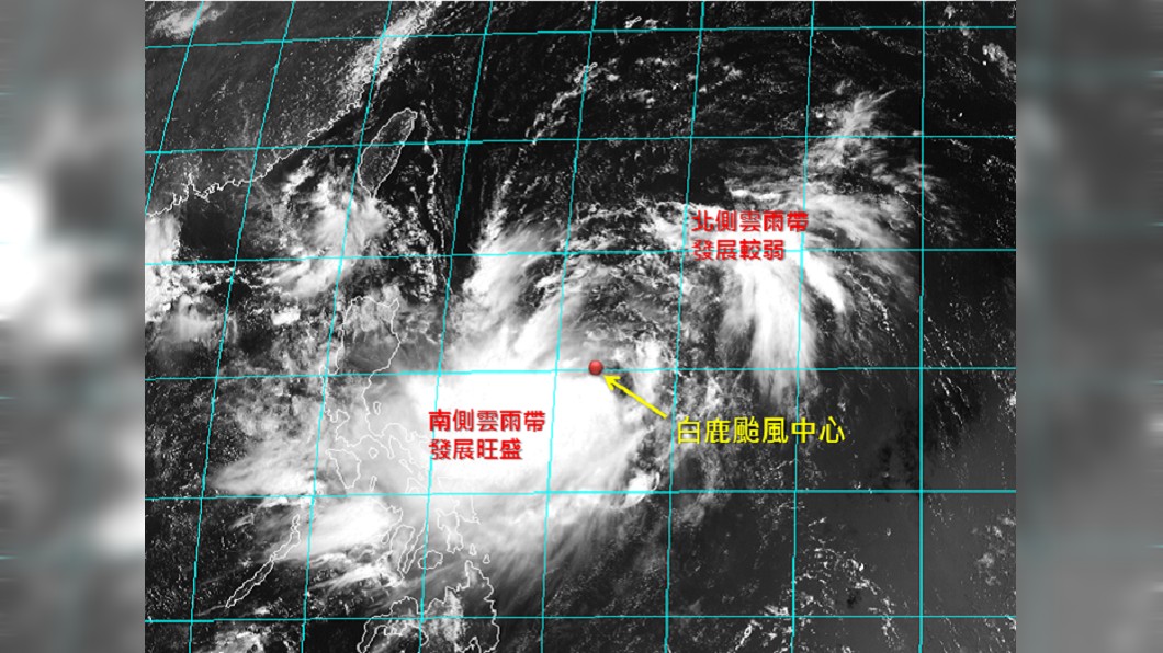 白鹿結構不對稱! 專家曝「實際風雨感受」:有南北差異