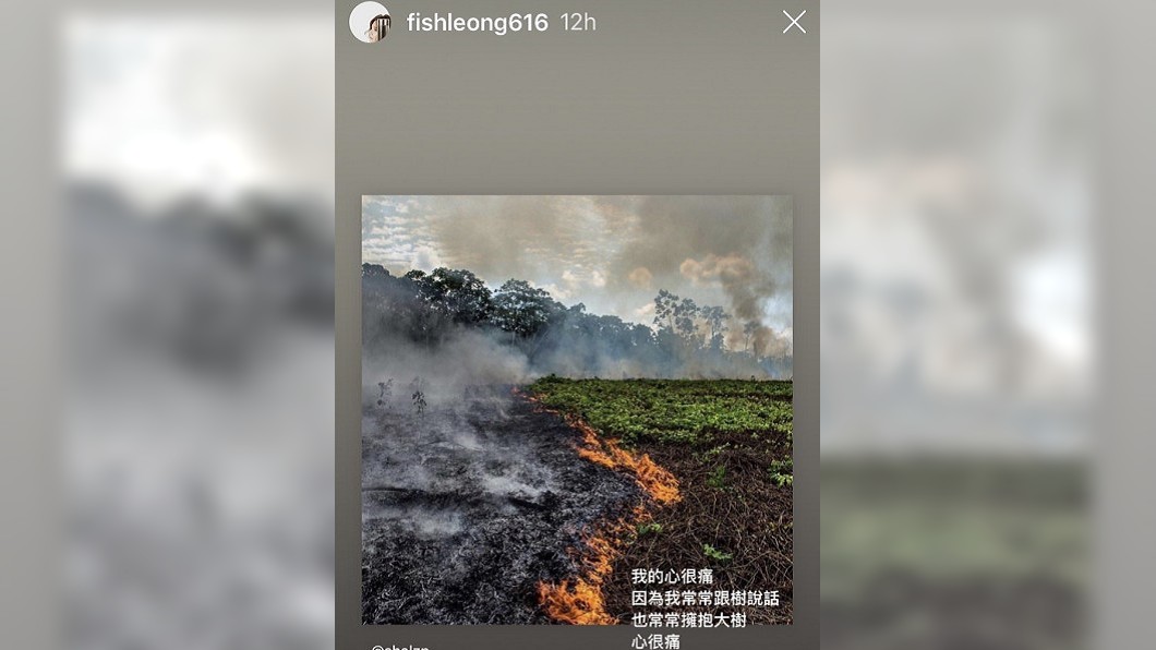 圖／翻攝自梁靜茹IG