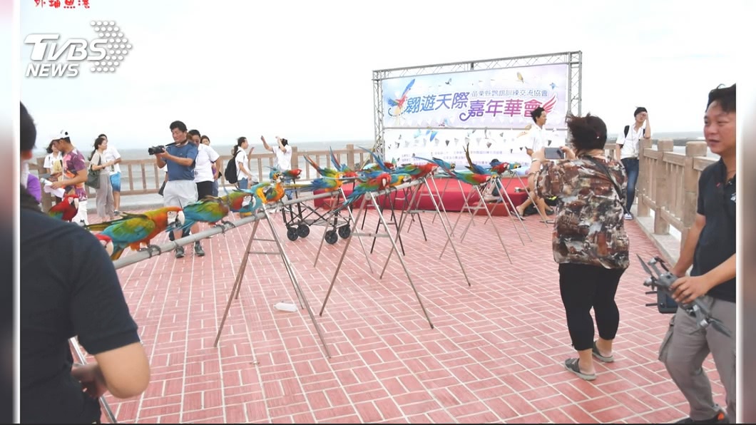 圖/TVBS