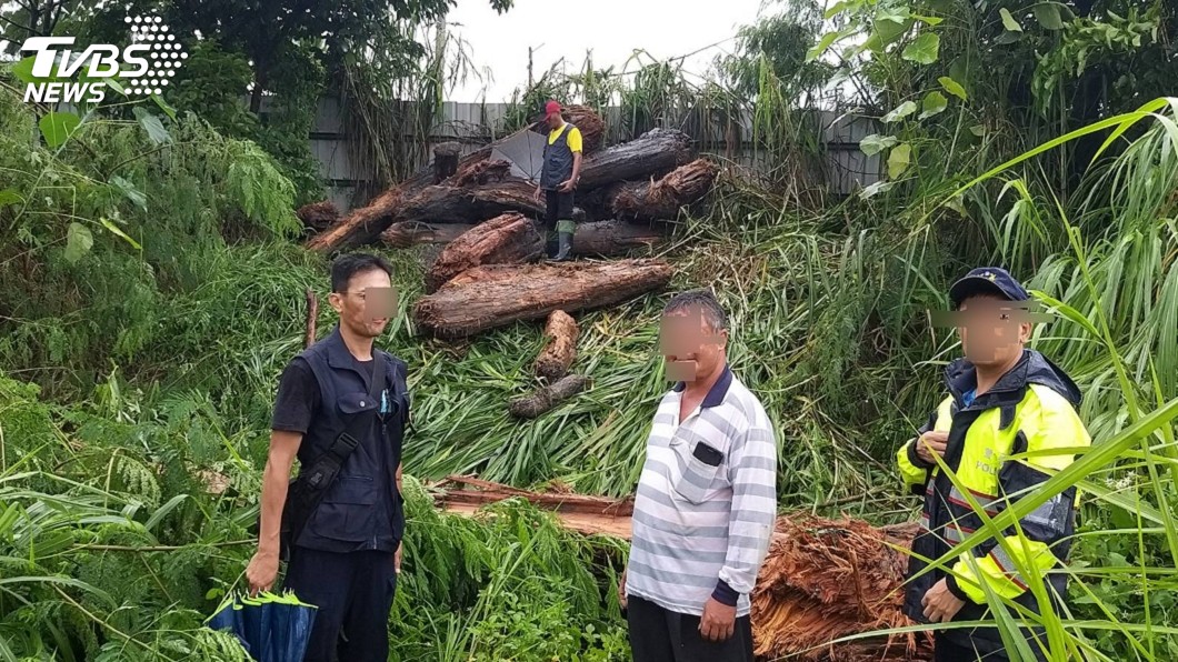 趁颱風後 男開推土機盜珍貴漂流木遭逮