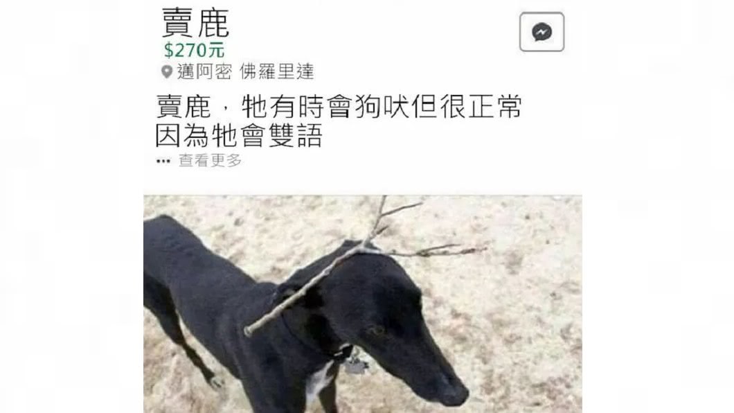 網友分享小黑狗扮成鹿的照片。圖/翻攝自爆廢公社臉書
