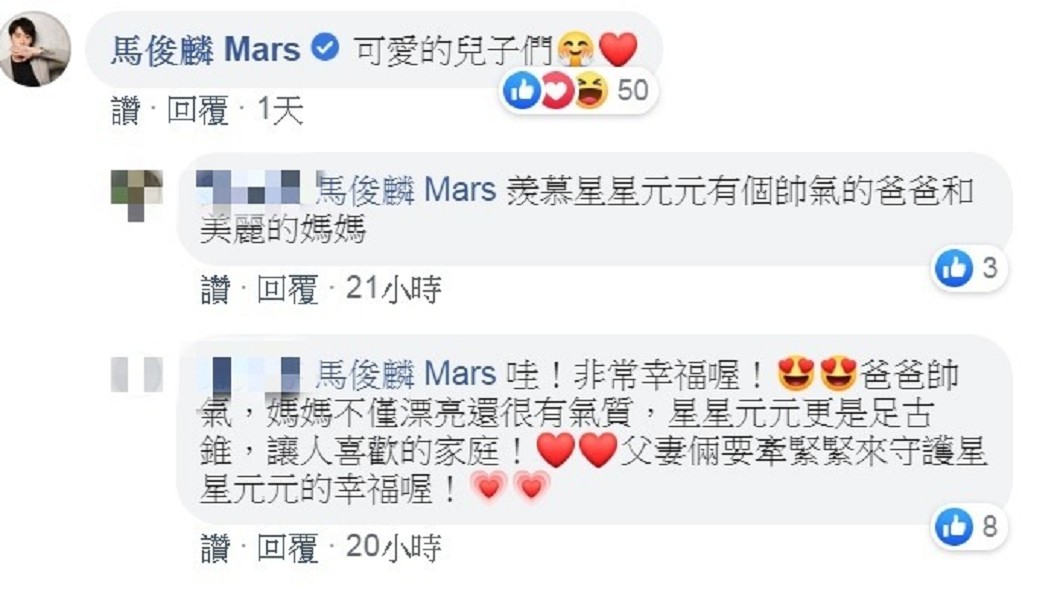 圖/翻攝自馬俊麟雙胞胎兒臉書粉專