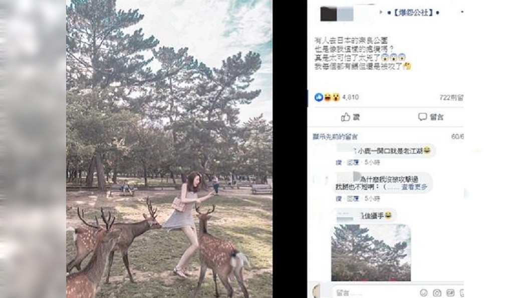 原PO美照讓網友嗨翻回文。圖/翻攝爆怨公社臉書