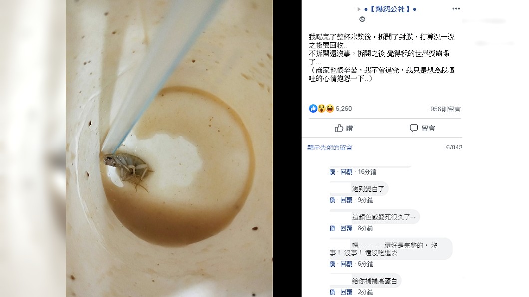 網友貼文表示在米漿裡驚見蟑螂。圖/翻攝自爆怨公社