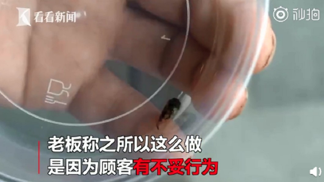 火鍋裡撈出蒼蠅!老闆答應「不收錢」 下秒這舉動惹怒他