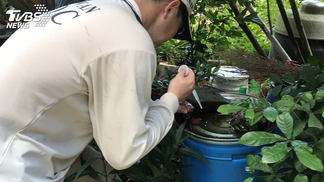 新北已6起屈公病例　環保署籲民眾清除孳生源