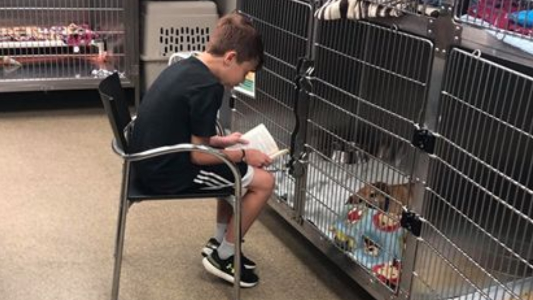 圖/翻攝自臉書社團Dogspotting Society
