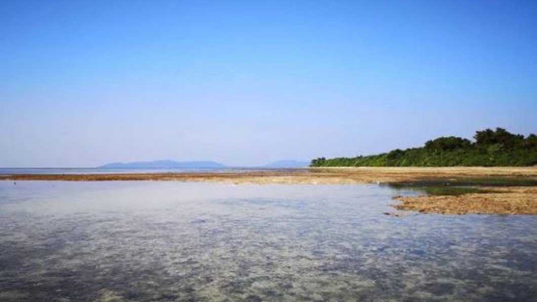 保存文化資產! 登日本竹富島得先付費