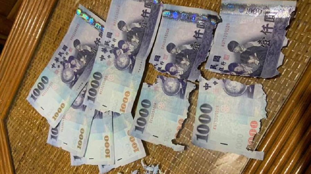 「牠」毀損國幣 網:還有救快去銀行