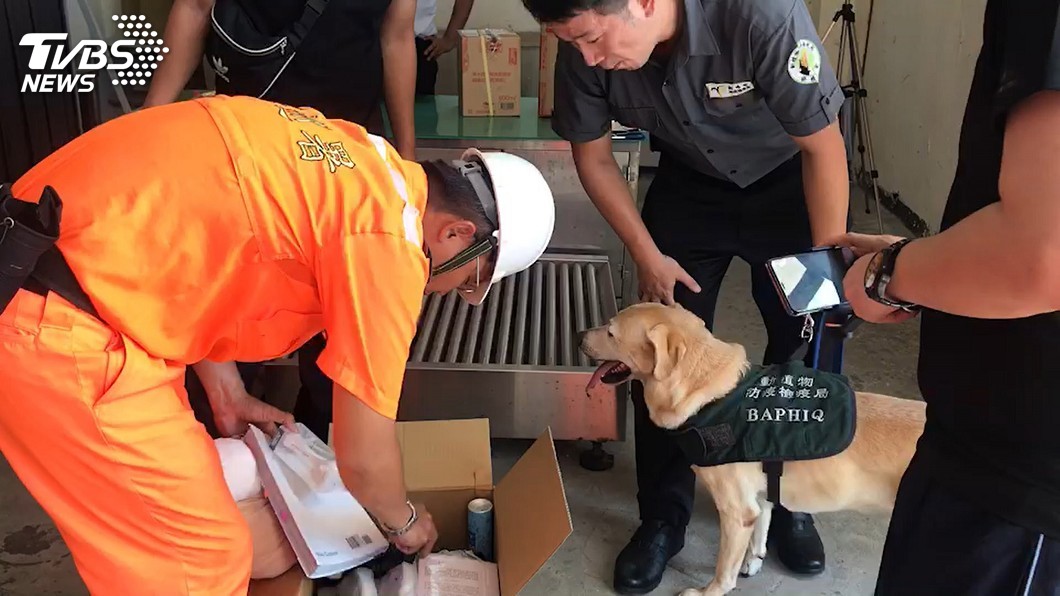 海巡配合檢疫犬杜絕違禁品 防堵非洲豬瘟