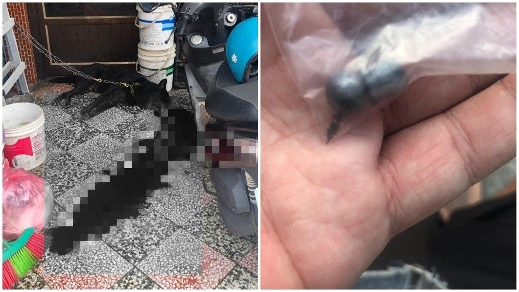 小黑狗當慘血流滿地慘死，警方調查時發現有彈孔。(圖／翻攝自臉書)