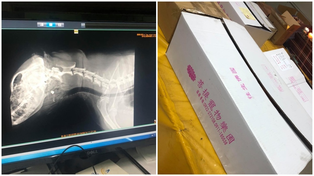 主人將愛犬送去火化，照X光發現子彈卡在牠頭部。(圖／翻攝自臉書)