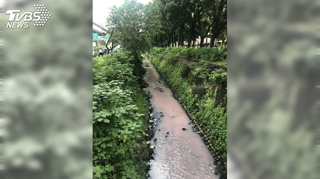 鳳山溪變「草莓牛奶」　高市府允速劃定水污染管制區