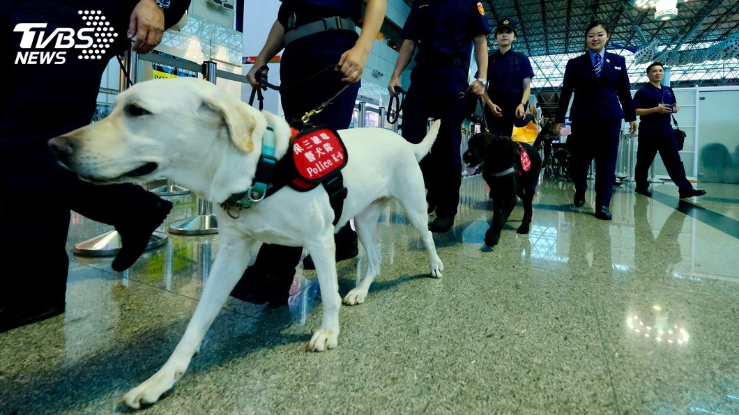強化國境緝毒 航警提升緝毒犬勤務